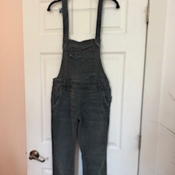 Free People Pants - Free People Jean Overalls size 25